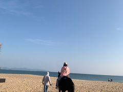 -玫瑰海岸文化旅游度假区