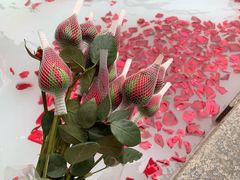 -庐山天沐温泉度假村