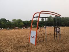 -青枫公园
