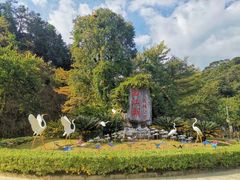 -广州白江湖森林公园