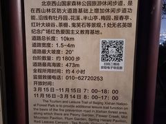-鬼笑石后山停车场