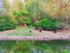 -长白岛森林公园