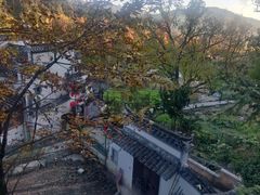 -塔川景区