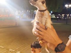 -清迈夜间动物园