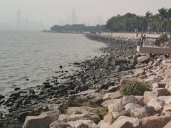 -深圳湾公园(南山区)