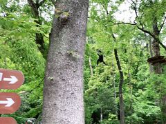 -WeLope紫金山探险公园