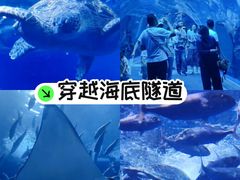 -成都浩海立方海洋公园