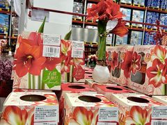 -山姆会员商店(上海浦东店)