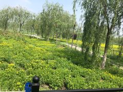 -西青郊野公园