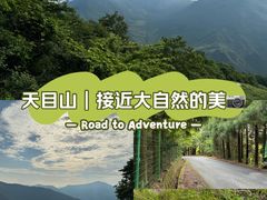 -东天目山风景区