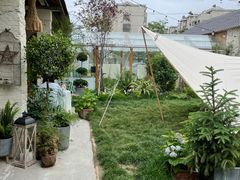 -Jo's Garden