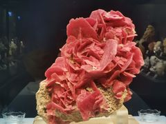 -湖南省地质博物馆