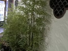-水韵江南·SPA ·按摩(龙华店)