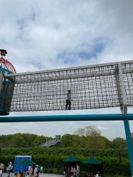 点击看大图 -季高兔窝窝亲子园(上海薰衣草公园店)