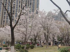 -堤角公园