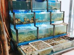 水产区-老东镇啤酒屋海鲜加工·蒸汽海鲜·海鲜烧烤(台东店)