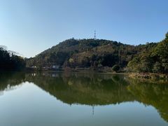 -广州市石门国家森林公园