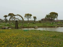 -上海都市菜园