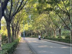 -滴水岩森林公园