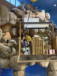 -卡通尼·Safari非洲探索乐园·生日会(金桥国际商业广场店)