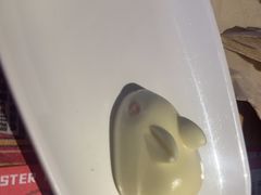 -何师傅美蛙鱼头(汉街店)