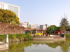 -嘉定紫藤园