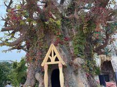 -青岛方特梦幻王国