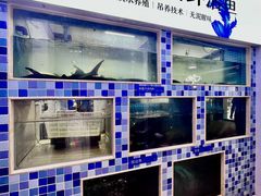 -大河宴·椒麻鱼火锅(北京路中和美食街店)