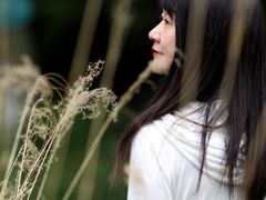 -白鹭湾湿地公园