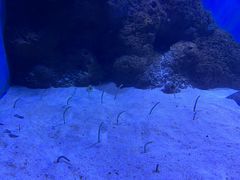 -石家庄海洋公园