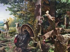 -陕西自然博物馆