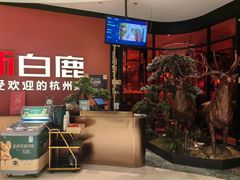 -新白鹿餐厅(湖滨银泰IN77C区店)