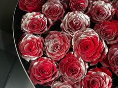 -王尔德与花