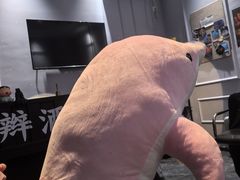 -上川阁剧本杀·狼人杀·血染钟楼(虹口店)