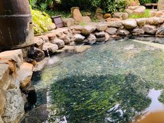 -厦门日月谷温泉渡假村