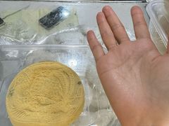 -固海糕团店