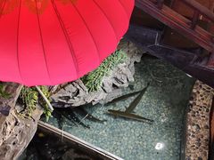 -山水茶艺馆·点心粤菜·30年老字号