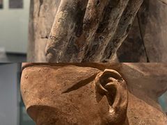 -秦始皇帝陵博物院(兵马俑)