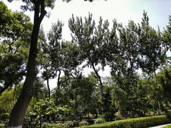 -莲湖公园