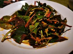 凉拌折耳根-巴蜀风月·聚会团建·生日宴(宝安店)