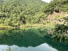 -大奇山国家森林公园