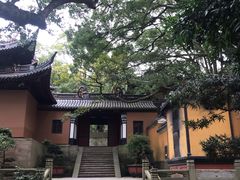 -普陀山风景名胜区-法雨禅寺