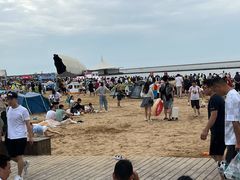 -碧海金沙