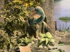 -辽宁古生物博物馆