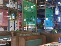 -鲜潭蒸汽石锅鱼(五道口购物中心店)