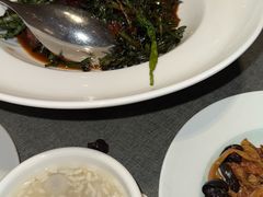 -新吉士·上海菜(浦东LCM置汇旭辉店)