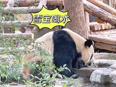-上海野生动物园