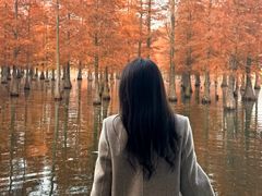 -白鹭湾湿地公园