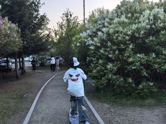 -群力丁香公园