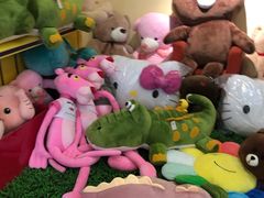 -PAWTOY爪e玩偶店(天兴罗斯福店)